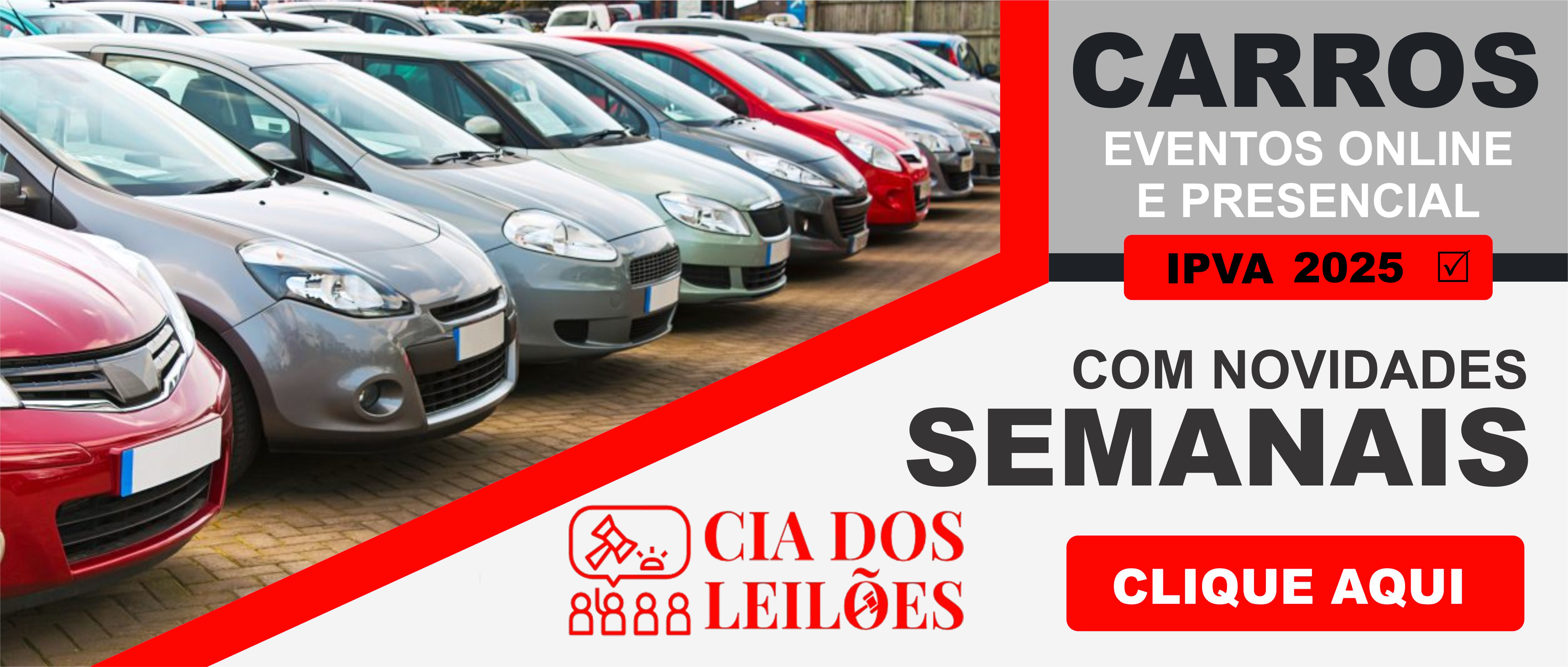 Leilão de Veículos
