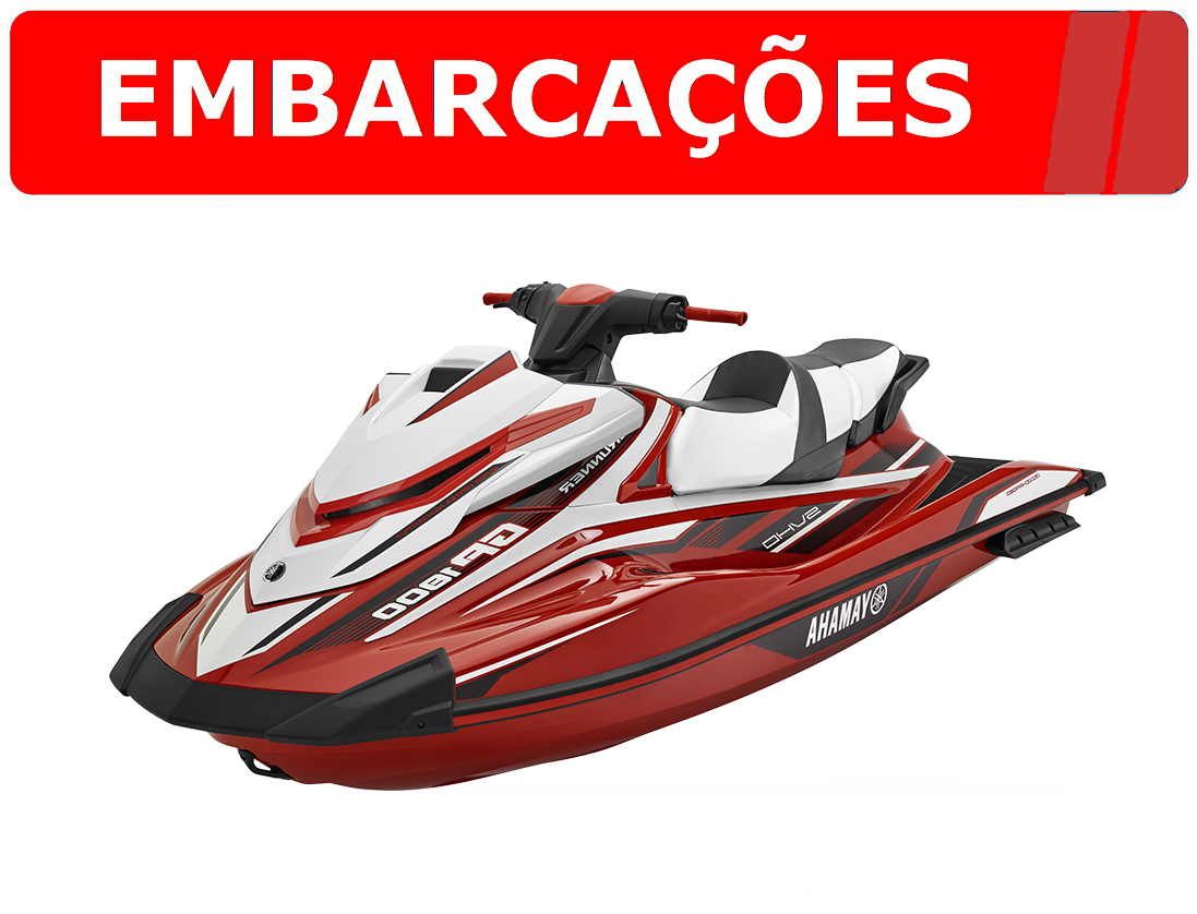 Leilão de Embarcações 